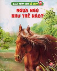 Ngựa Ngủ Như Thế Nào