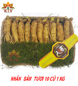 Nhân Sâm Tươi Hàn Quốc 10-12 củ/kg