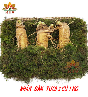 Nhân Sâm Tươi Hàn Quốc 3 củ/kg