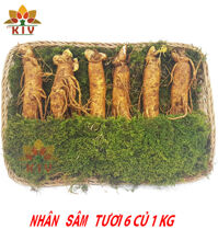 Nhân Sâm Tươi Hàn Quốc 6 củ/kg