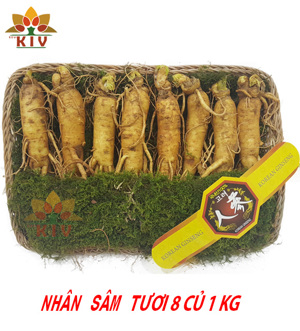 Nhân Sâm Tươi Hàn Quốc 8 củ/kg