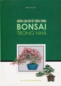 Những Loại Cây Dễ Trồng Thành Bonsai Trong Nhà