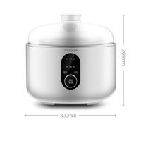 Nồi hấp điện Xiaomi Ocooker CR-DZ01