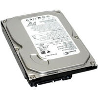 Ổ cứng HDD Seagate Barracuda 250GB/ 7200rpm/ Cache 16MB/ Sata 3