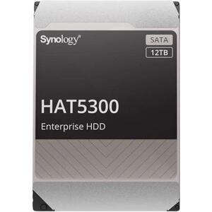 Ổ cứng HDD Synology HAT5300-12T