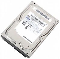 Ổ cứng SamSung 1.0 TB Serial ATA II