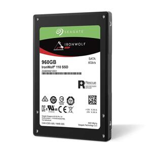 Ổ cứng SSD Seagate IronWolf 110 960GB