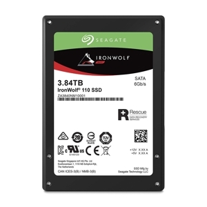 Ổ cứng SSD Seagate IronWolf 110 3840GB