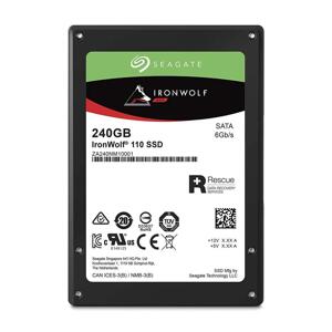 Ổ cứng SSD Seagate IronWolf 110 240GB