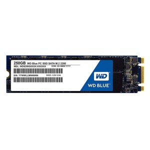 Ổ cứng SSD WD WDS250G1B0B M2-250GB