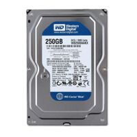 Ổ cứng Western Blue 250GB 7200Rpm SATA3 16MB Cache