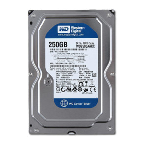 Ổ cứng Western Blue 250GB 7200Rpm SATA3 16MB Cache