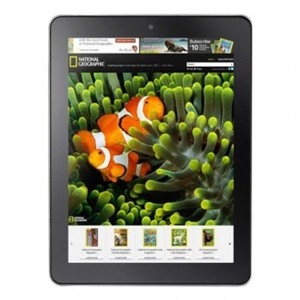 Máy tính bảng Onda V801 - 16GB, 8 inch