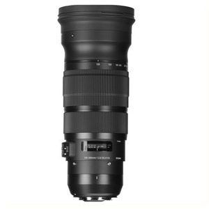 Ống kính - Lens Sigma 120-300mm F2.8 Sports DG APO OS HSM