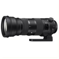 Ống kính - Lens Sigma 150-600mm F/5-6.3 DG OS HSM Sports For Canon (Nhập Khẩu)