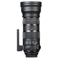 Ống kính - Lens Sigma 150-600mm F/5-6.3 DG OS HSM Sports For Nikon (Nhập Khẩu)