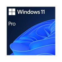 Phần mềm Windows 11 Pro 64-bit OEM (FQC-10528 Win Pro 11 x64 Eng Intl 1pk DSP OEI DVD)