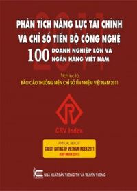 Phân Tích Năng Lực Tài Chính Và Chỉ Số Tiến Bộ Công Nghệ - 100 Doanh Nghiệp Lớn Và Ngân Hàng Việt Nam