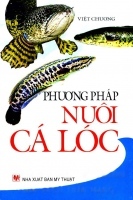 Phương pháp nuôi cá lóc