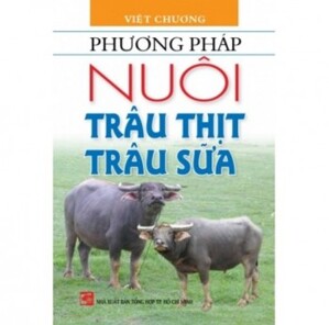 Phương Pháp Nuôi Trâu Thịt Trâu Sữa