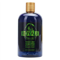 Dầu gội nam hương bạc hà PRÔVENCE Royale Nature Care Shampoo Mint & Teatree Anti-dandruff 500ml