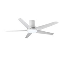 Quạt đèn 5 cánh Euroto MODEL-Q61