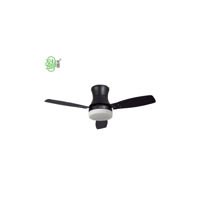 Quạt Đèn Ceiling Fan 42ZSM-165B