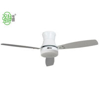 Quạt Đèn Ceiling Fan ZSM -166W