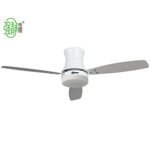 Quạt Đèn Ceiling Fan ZSM -166W