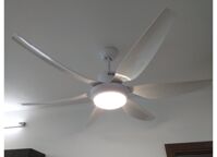 Quạt trần đèn Dakii Fan 6 cánh TN-661T