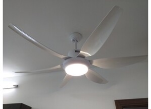 Quạt trần đèn Dakii Fan 6 cánh TN-661T