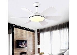 Quạt trần đèn Dakii Fan 6 cánh TN-66T