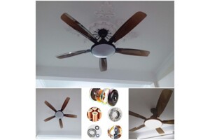 Quạt trần đèn Dakii Fan 5 cánh TN 888