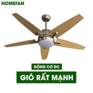 Quạt trần đèn Homefan 5 cánh HL-FAN811