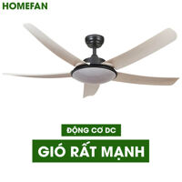 Quạt trần đèn Homefan 5 cánh HL-FAN802T