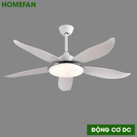 Quạt trần đèn HomeFan 5 cánh HL-Fan806