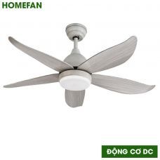 Quạt trần đèn HomeFan 5 cánh HL-Fan661