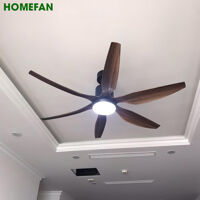 Quạt trần đèn HomeFan 6 cánh HL-Fan696