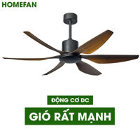 Quạt trần đèn HomeFan 6 cánh HL-Fan696K