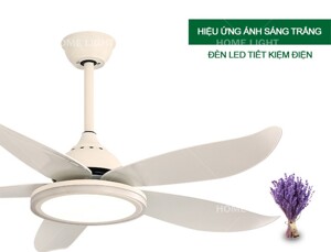 Quạt trần đèn HomeFan 5 cánh HL-FAN089