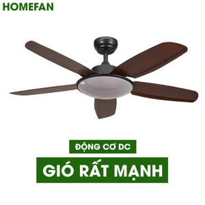 Quạt trần đèn HomeFan 5 cánh HL-Fan699