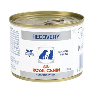 Royal Canin Recovery 195g