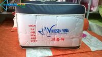 Ruột chăn Vikosenvina Hàn Quốc 2.0 x 2.2 m