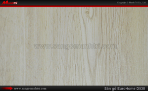 Sàn gỗ công nghiệp EuroHome D538