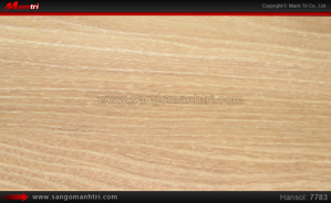 Sàn gỗ công nghiệp Hansol 7783