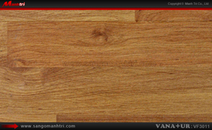 sàn gỗ công nghiệp VanaTur VF3011