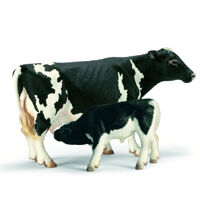 Mô hình bò sữa Holstein mẹ Schleich 13633