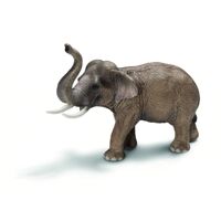 Mô hình voi châu Á bố Schleich 14653