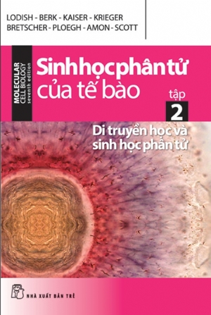 Sinh Học Phân Tử Của Tế Bào - Tập 2