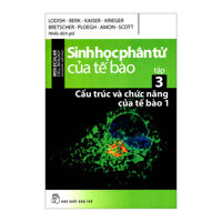 Sinh Học Phân Tử Của Tế Bào - Tập 3: Cấu Trúc Và Chức Năng Của Tế Bào